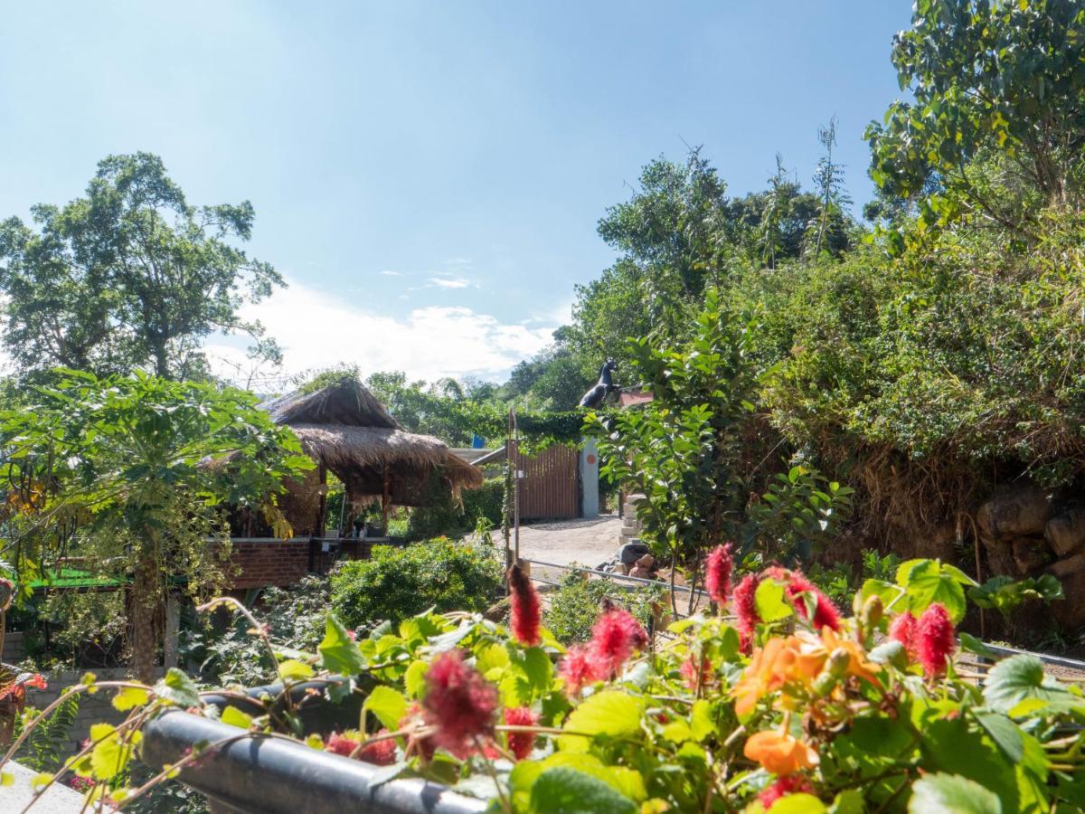 Dolape Villa Procida Dış mekan fotoğraf