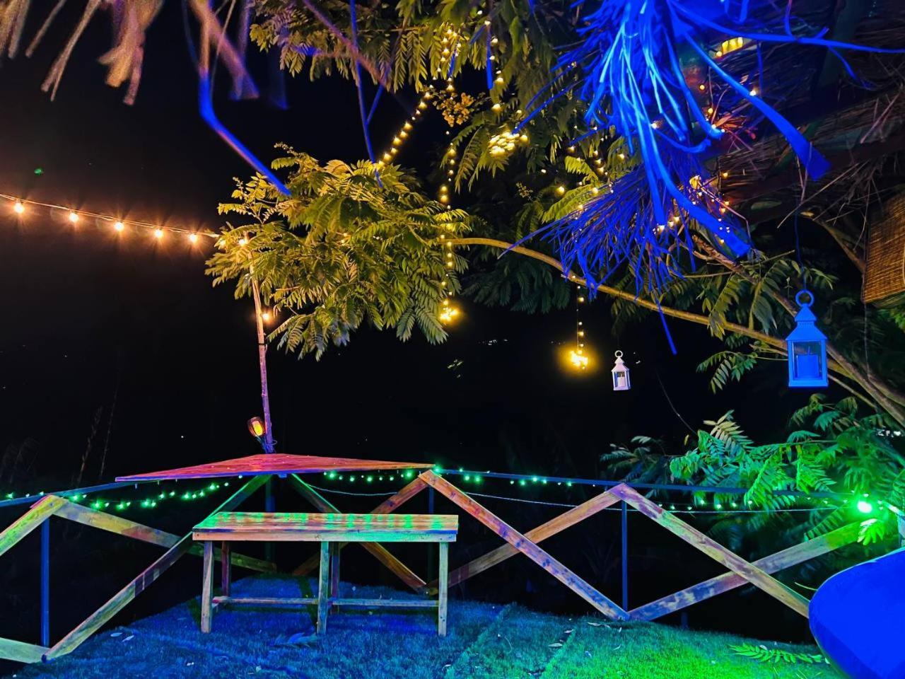 Dolape Villa Procida Dış mekan fotoğraf